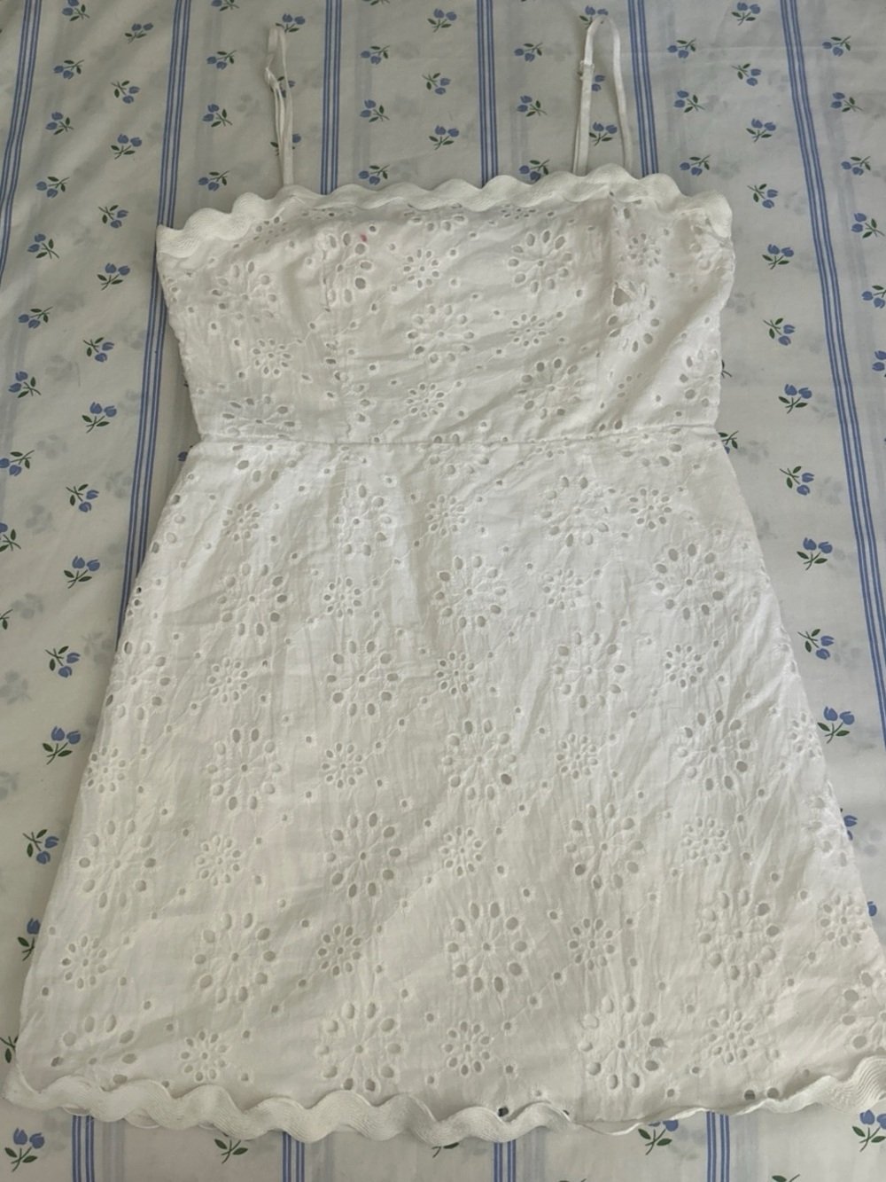 Francesca's Collections White Eyelet Mini Dress